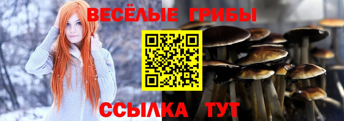 Галлюциногенные грибы MAGIC MUSHROOMS  Вход с VPN  Кингисепп 