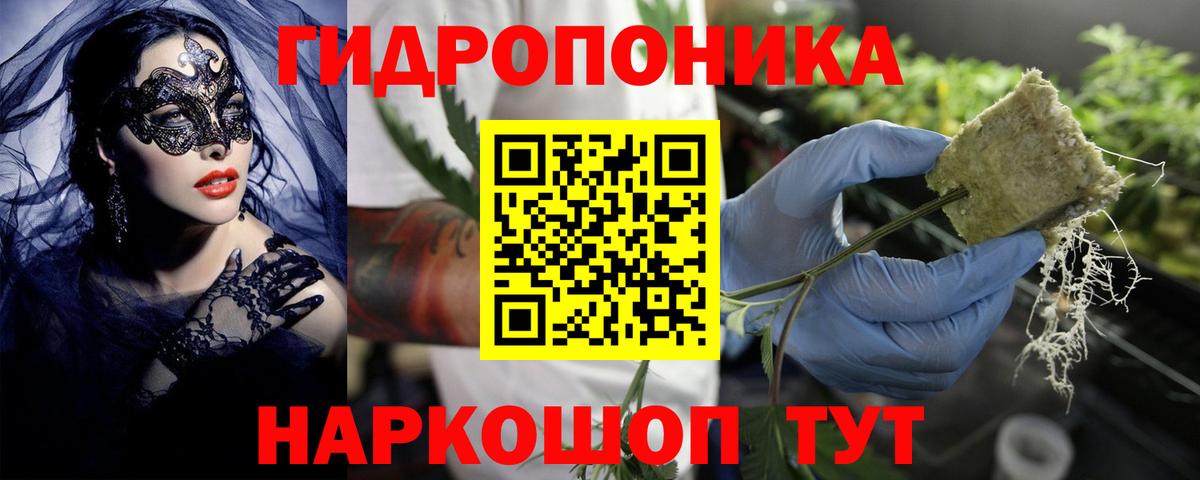 Конопля семена  Шишки марихуана план  Бошки марихуана LSD WEED  Кингисепп  Вход с VPN 